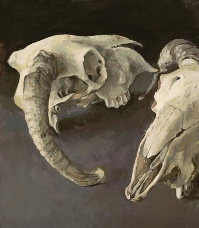 Sheep Skulls by Vincent Yorke